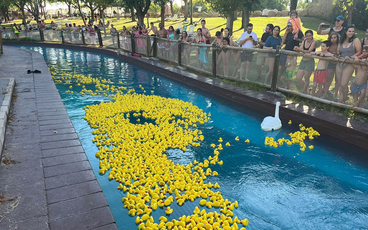 Carrera Solidaria de Patos