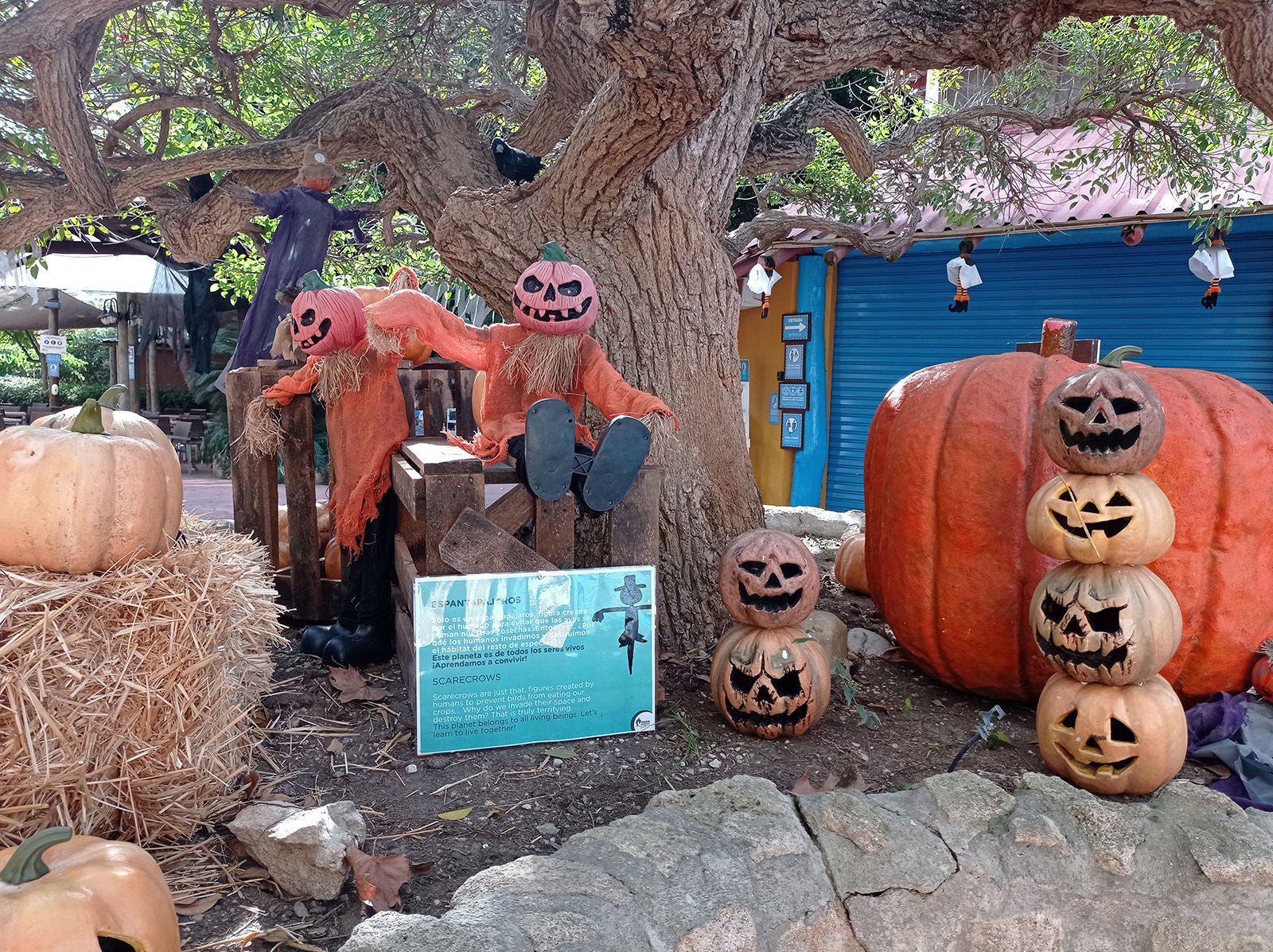 Halloween climático