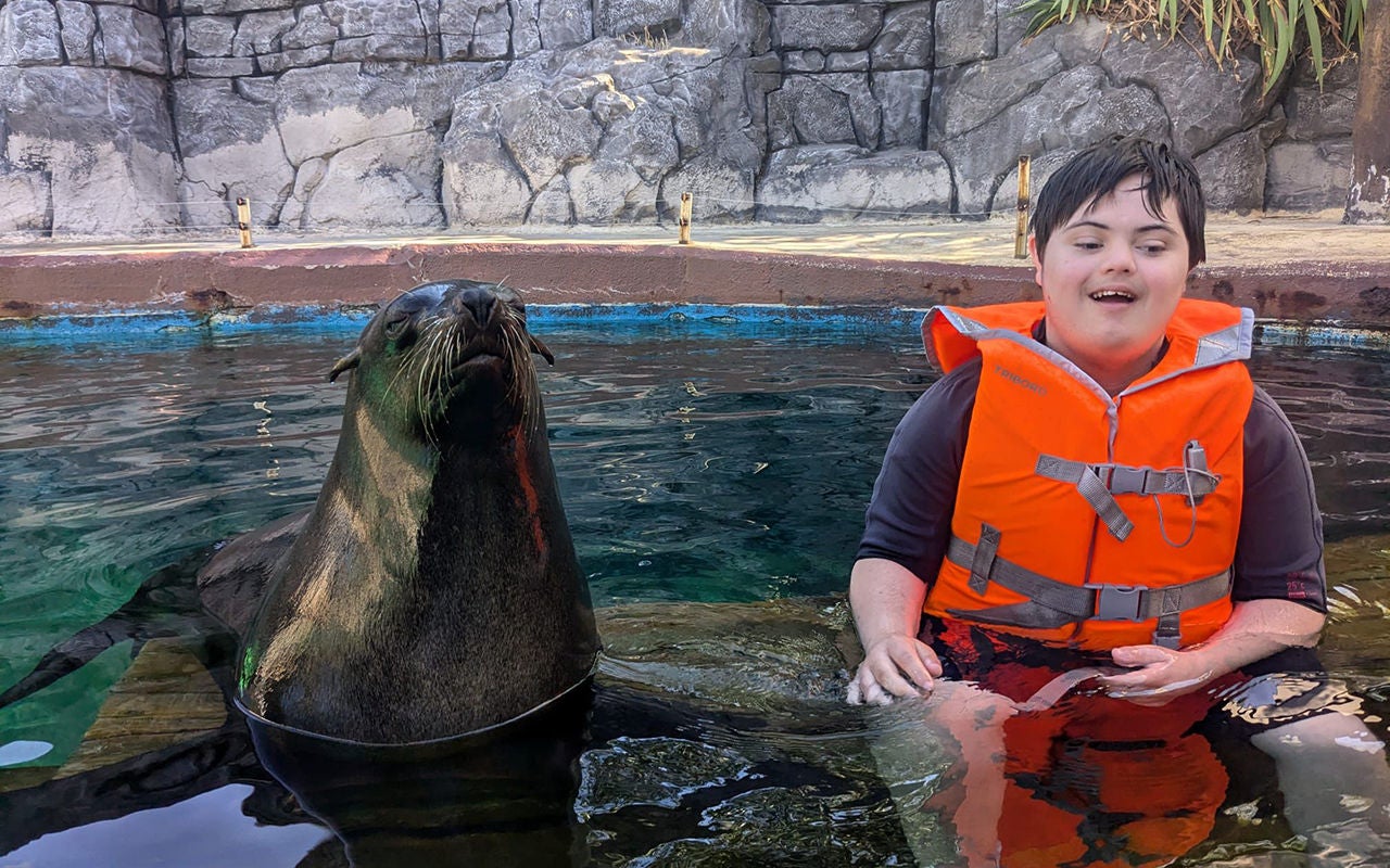 Terapia con osos marinos en menores con discapacidad intelectual