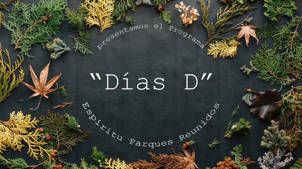 Programas "Días D"
